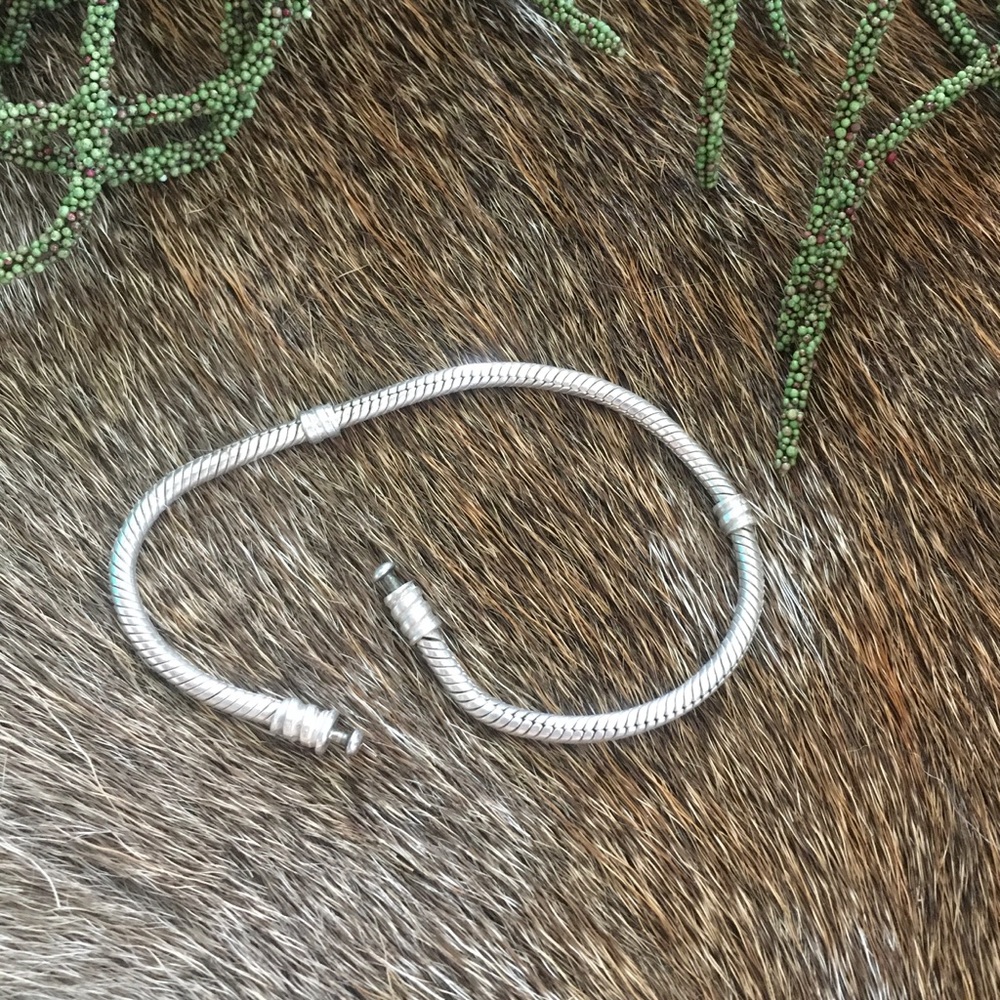 PANDORA Jewelry Moments Bracelet Snake Charm Chain
